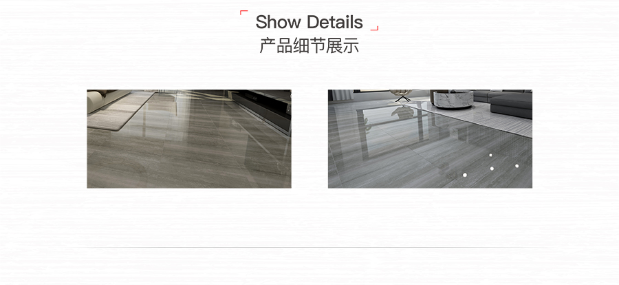 雅柏麗大地磚 柏麗壹號瓷磚 大地磚十大品牌 巴拿馬 DT60SN1653